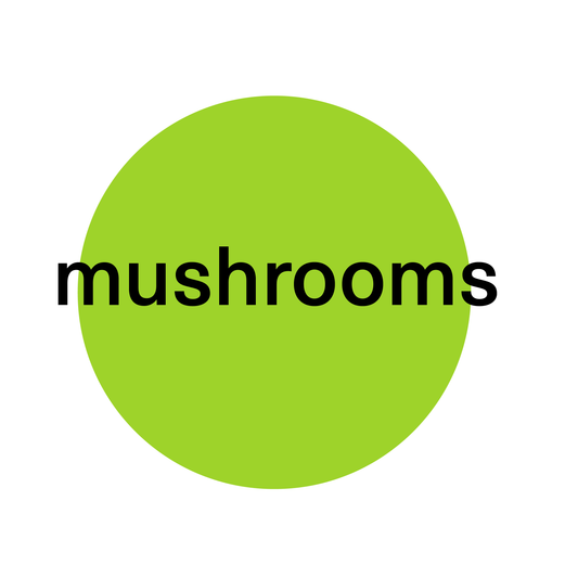 JA - Mushroom Frog Sticker
